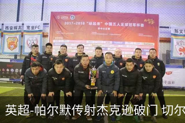 英超-帕尔默传射杰克逊破门 切尔西3-2纽卡斯尔